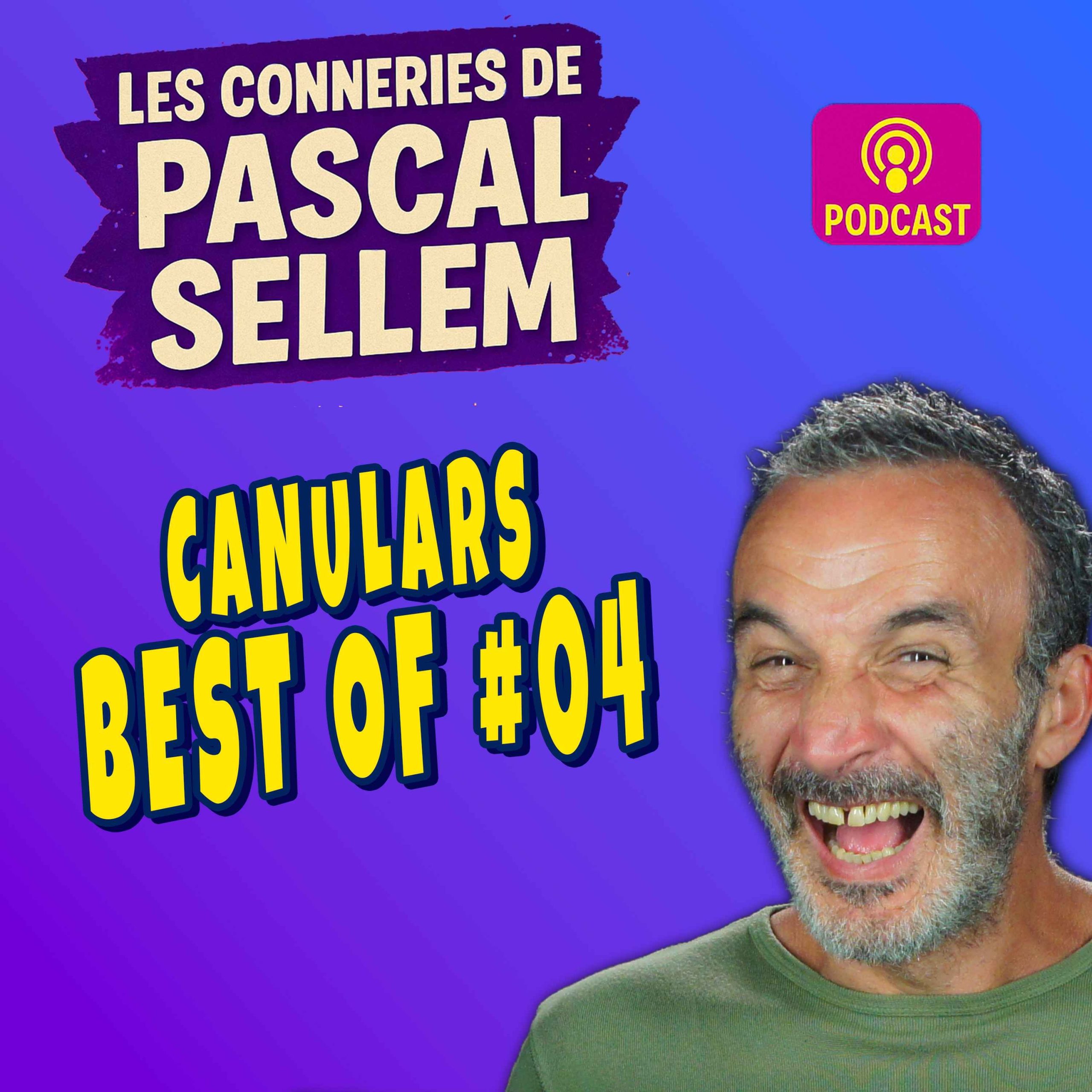 BEST OF #04 : 30 minutes de rigolade ★ Canular Pascal Sellem ★