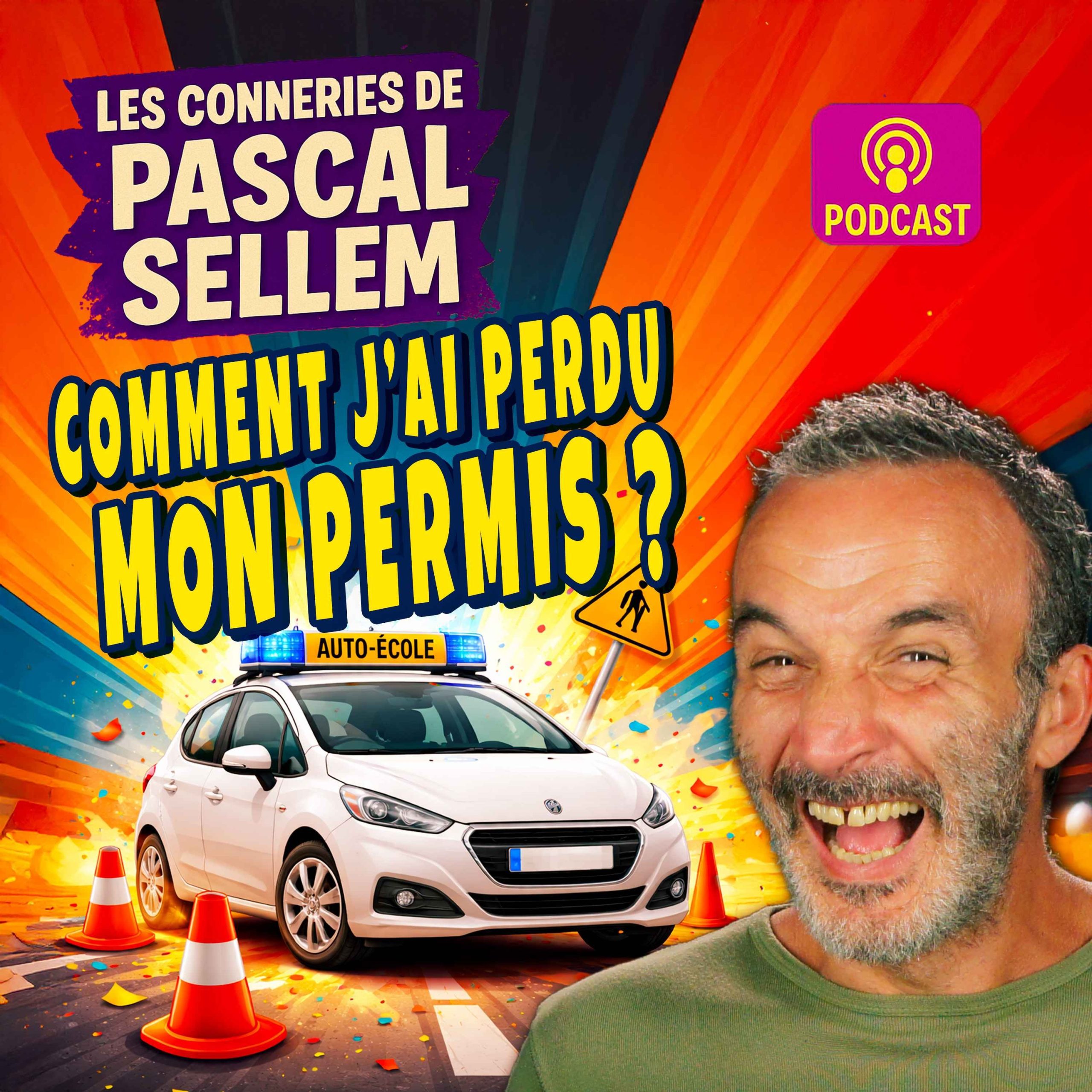 J'ai perdu mon permis de conduire ★ Canular Pascal Sellem ★